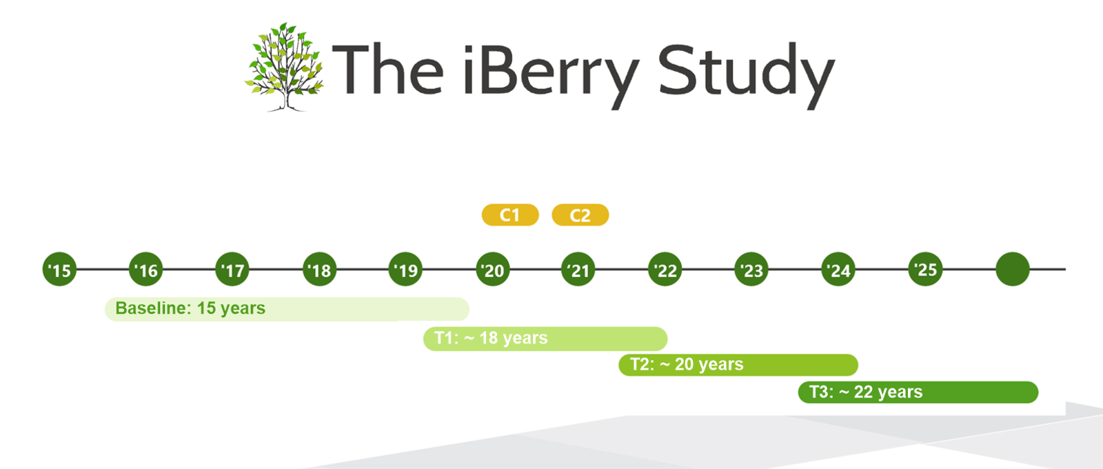 Timetable iBerry Study